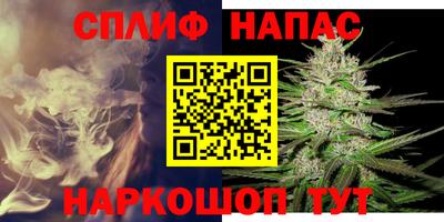 гашик Малгобек