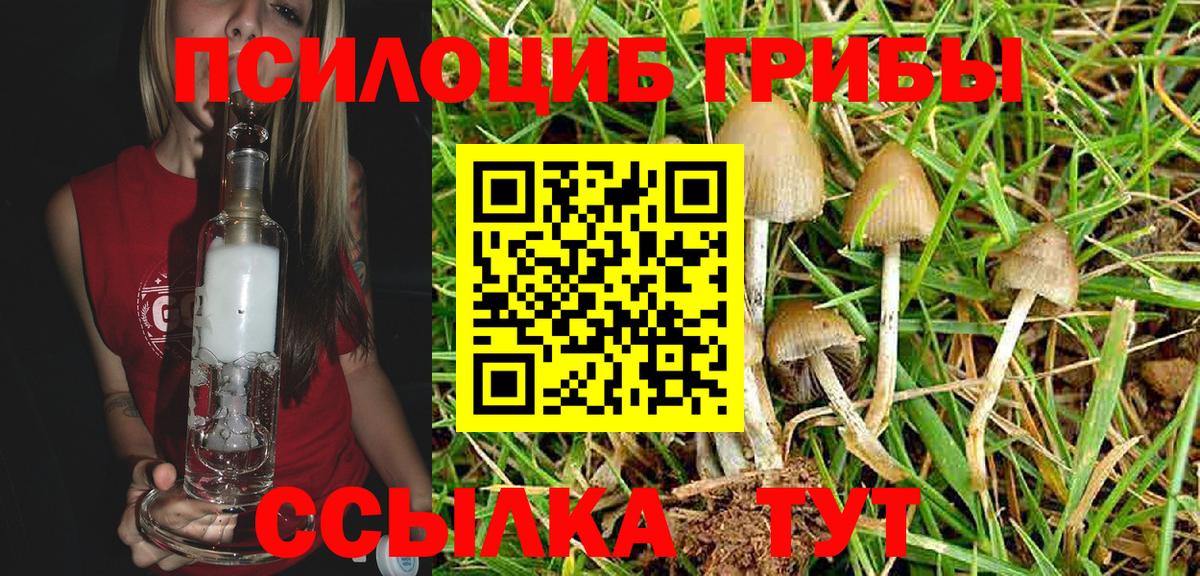 Псилоцибиновые грибы Magic Shrooms Улан-Удэ